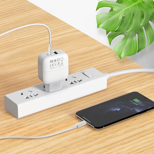 Borofone BA46A hálózati gyorstöltő (QC + PD csatlakozó), PD lightning kábel, QC 3.0 max 18W, fehér